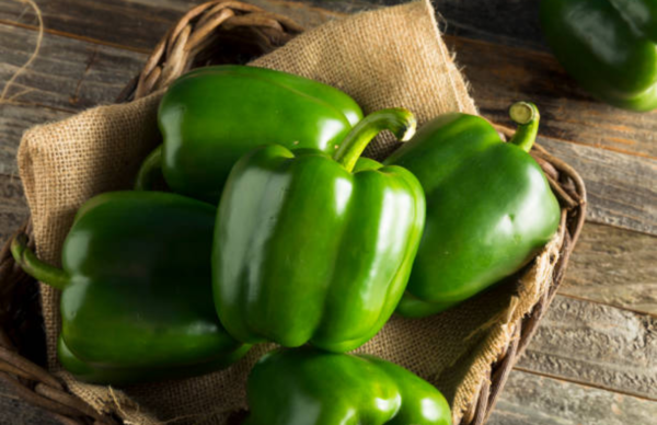 Paprika Hijau