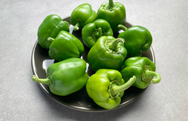 Paprika Hijau