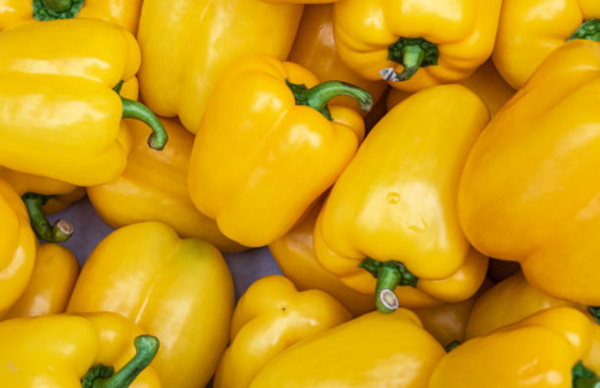 Paprika Kuning