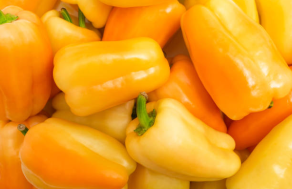 Paprika Kuning