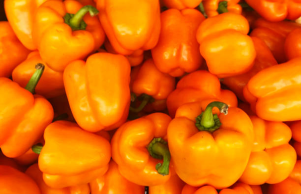Paprika Orange