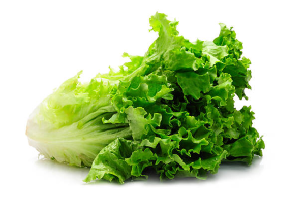 Lettuce Head