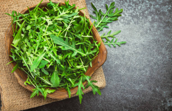 Lettuce Roquette (Arugula)