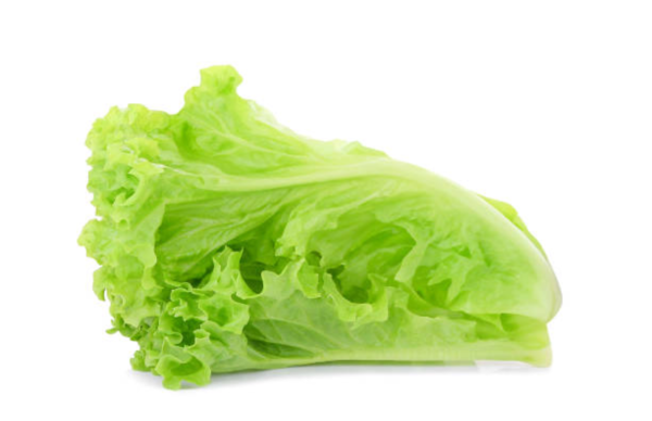Lettuce Head