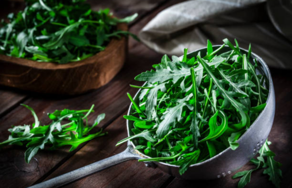 Lettuce Roquette (Arugula)