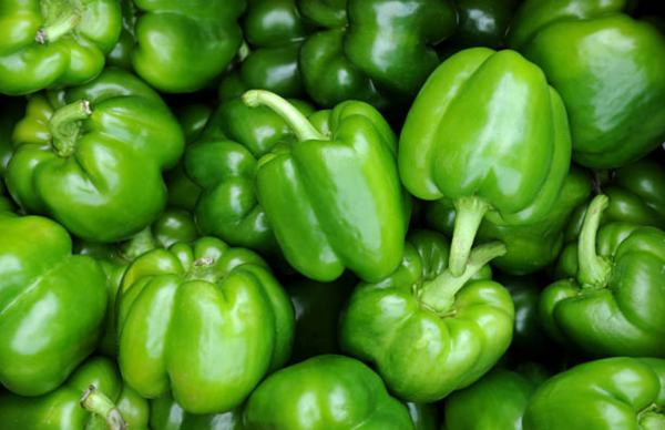 Paprika Hijau