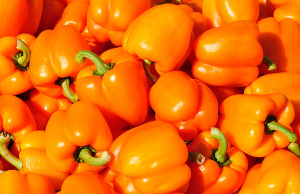 Paprika Orange