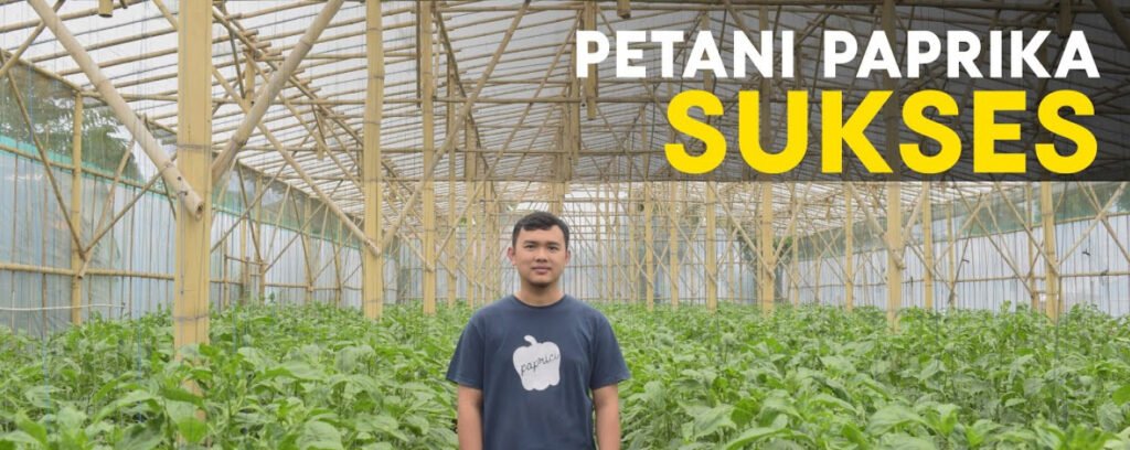 Rici Solihin Owner Paprici Segar Barokah